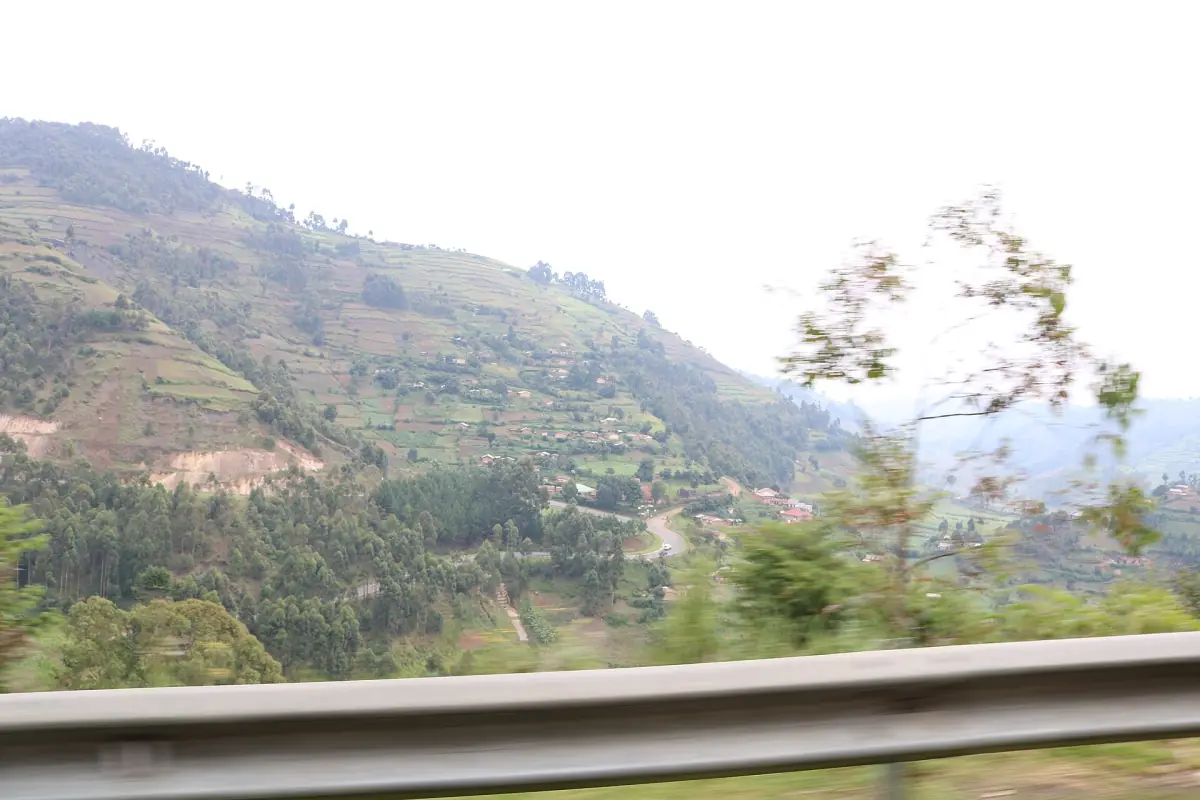 Groene terrasheuvels gezien vanaf de weg tussen Kabale en Kisoro