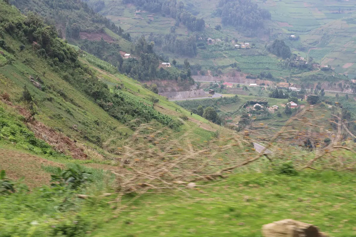 Hillside farms and a winding road in the green highlands near Kabale