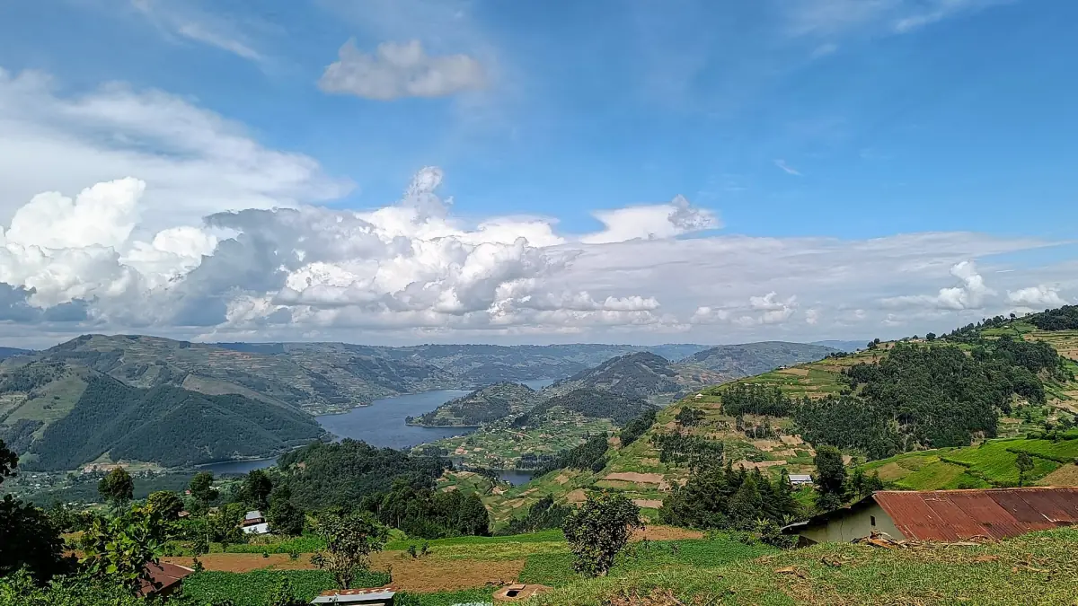 Lake Bunyonyi winding between terraced green hills under a blue sky