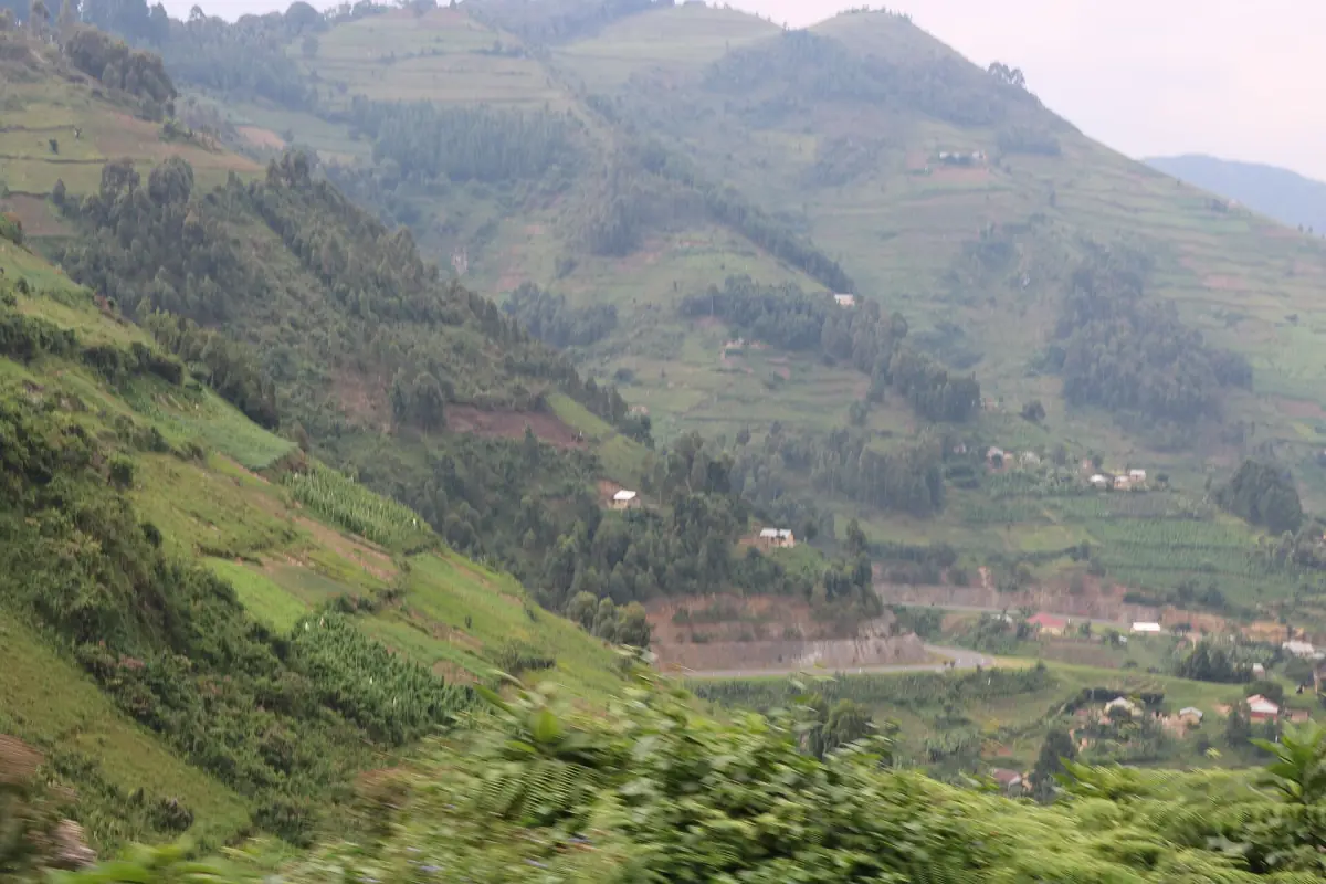 Steep green hills with terraced fields above a valley in southwest Uganda