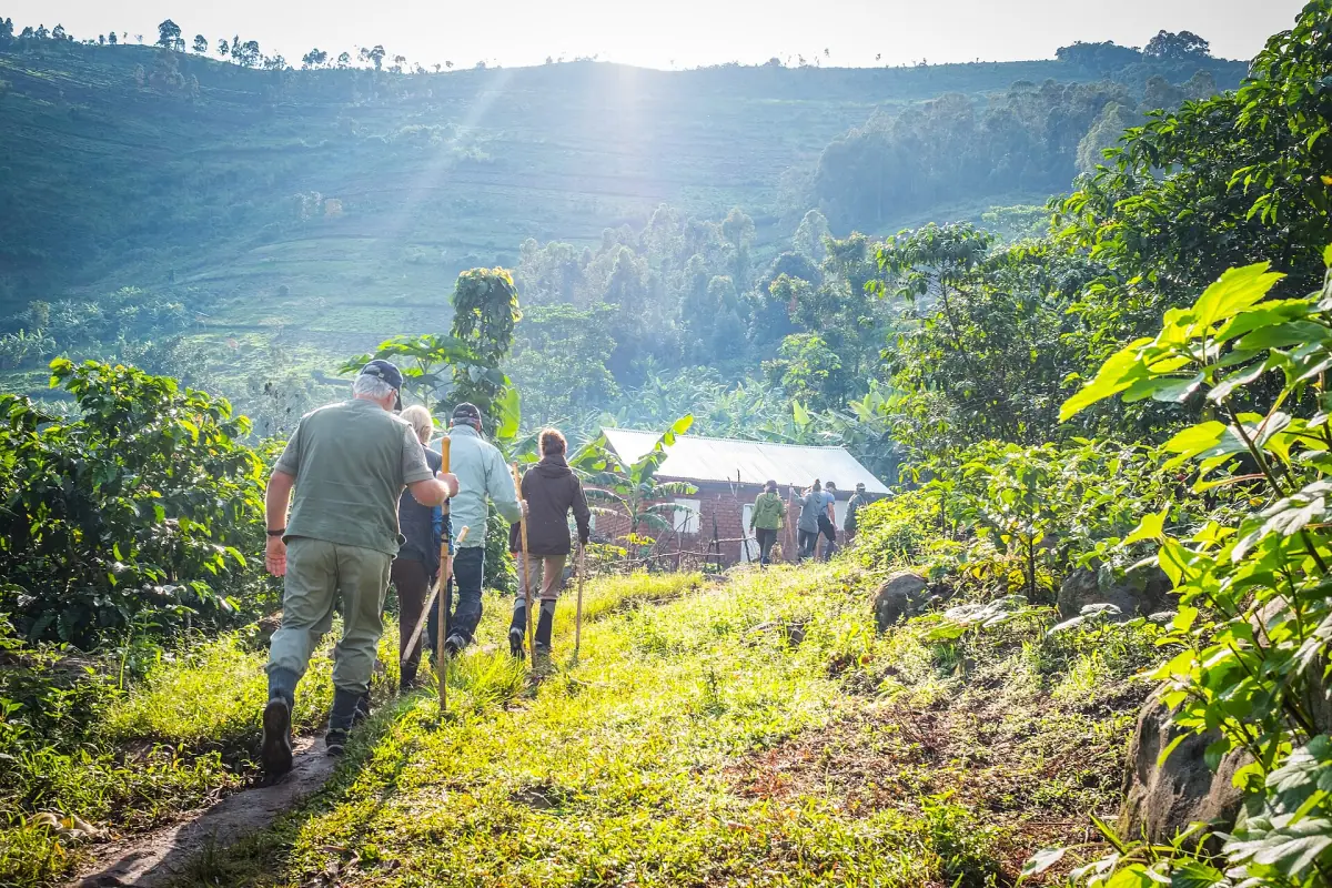 Trekkers walking down a sunlit farmland slope toward a forest edge in the hills
